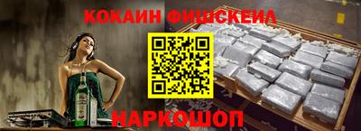 a pvp Камышлов