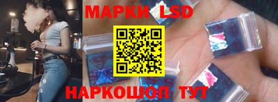 a pvp Камышлов