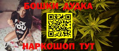 a pvp Камышлов
