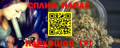 a pvp Камышлов
