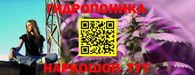spice Канаш
