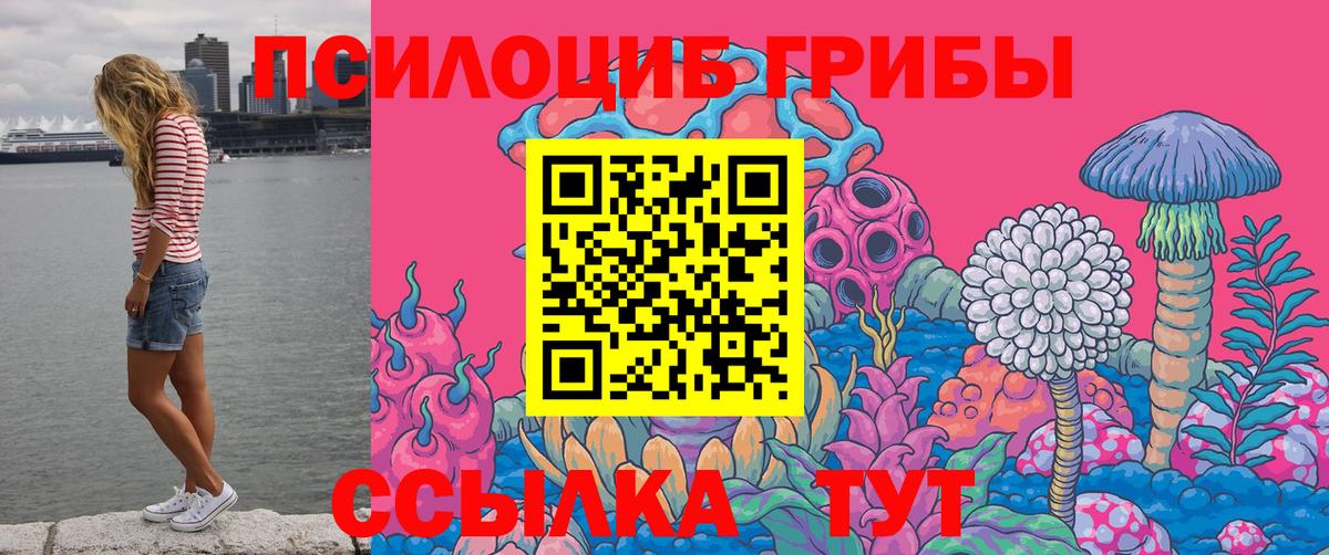  COCAIN Курчалой